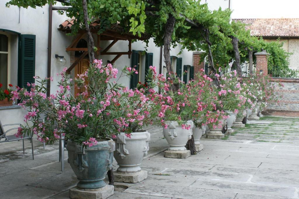 Tenuta Terensano Monleale Exterior foto