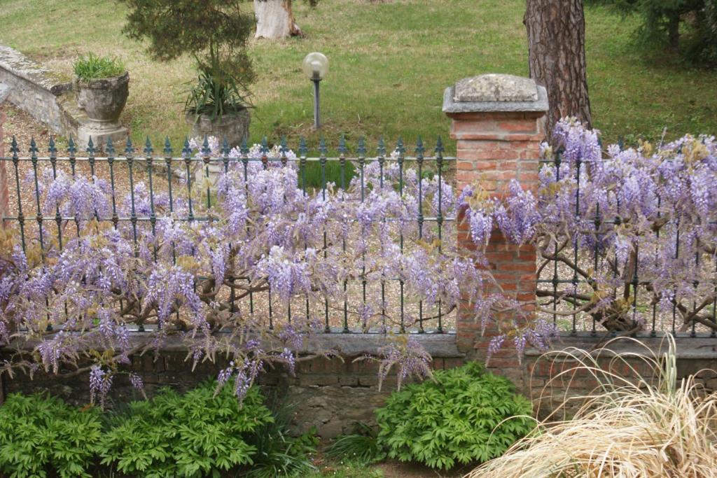 Tenuta Terensano Monleale Exterior foto