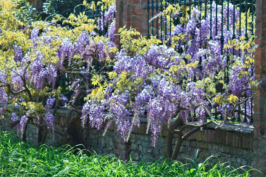 Tenuta Terensano Monleale Exterior foto